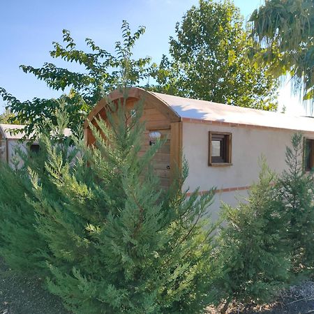 Finca Alarcos Valverde  Екстер'єр фото