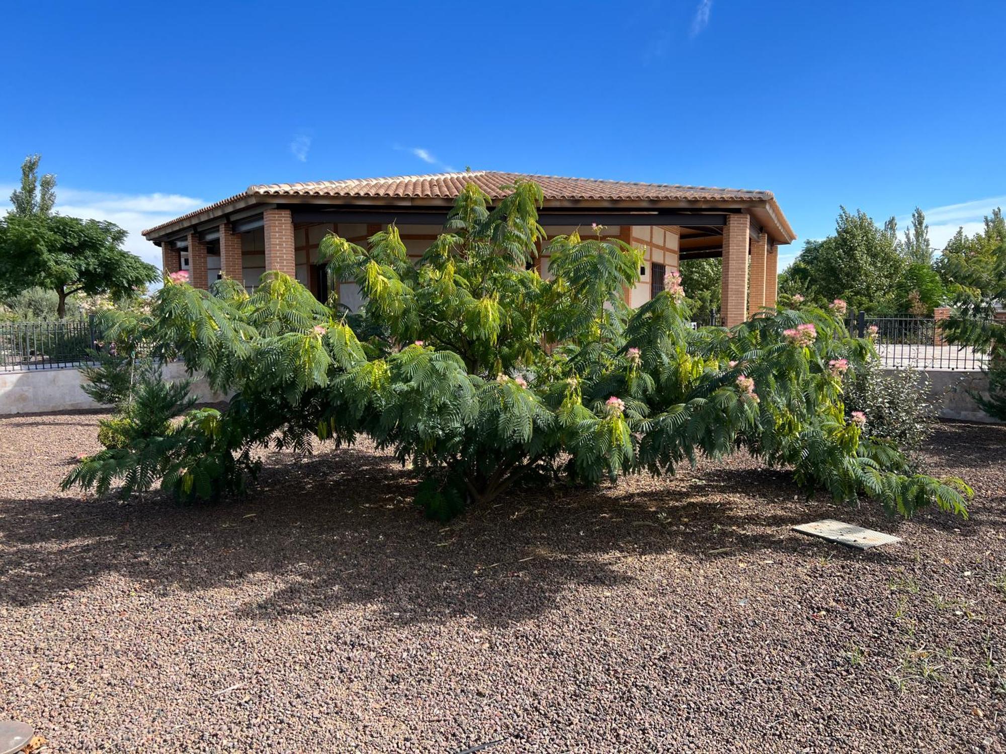 Finca Alarcos Valverde  Екстер'єр фото